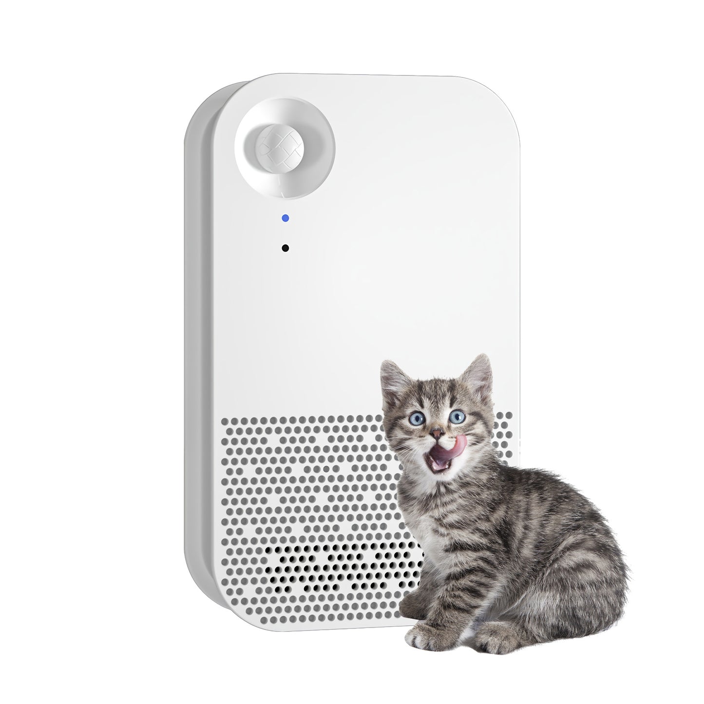 {{ Pet Cat Litter Box Deodorizer Odor Eliminator Remover Dust-Free Bathroom }} - Buy Car Parts Online at {{ Kaka Auto Parts }}.