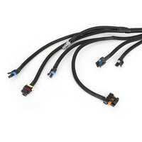 Stand-Alone Harness 4L60E Suitable For LS1 Vortec 4.8/5.3/6.0 1997-2006 – Drive By Cable