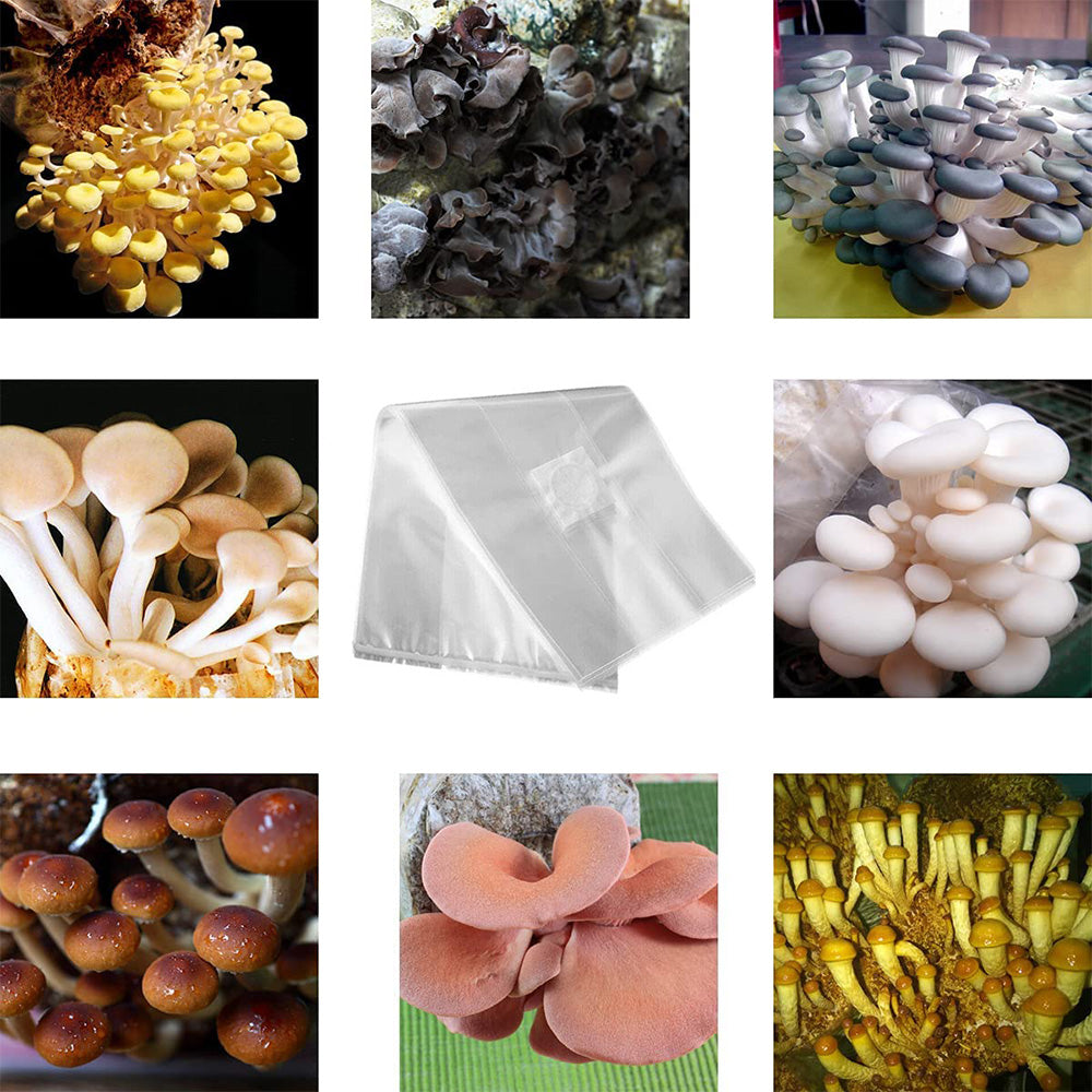 {{ 50X Mushroom Growing Bag Breathable Autoclavable Stand Up Tear Resistant Strong }} - Buy Car Parts Online at {{ Kaka Auto Parts }}.