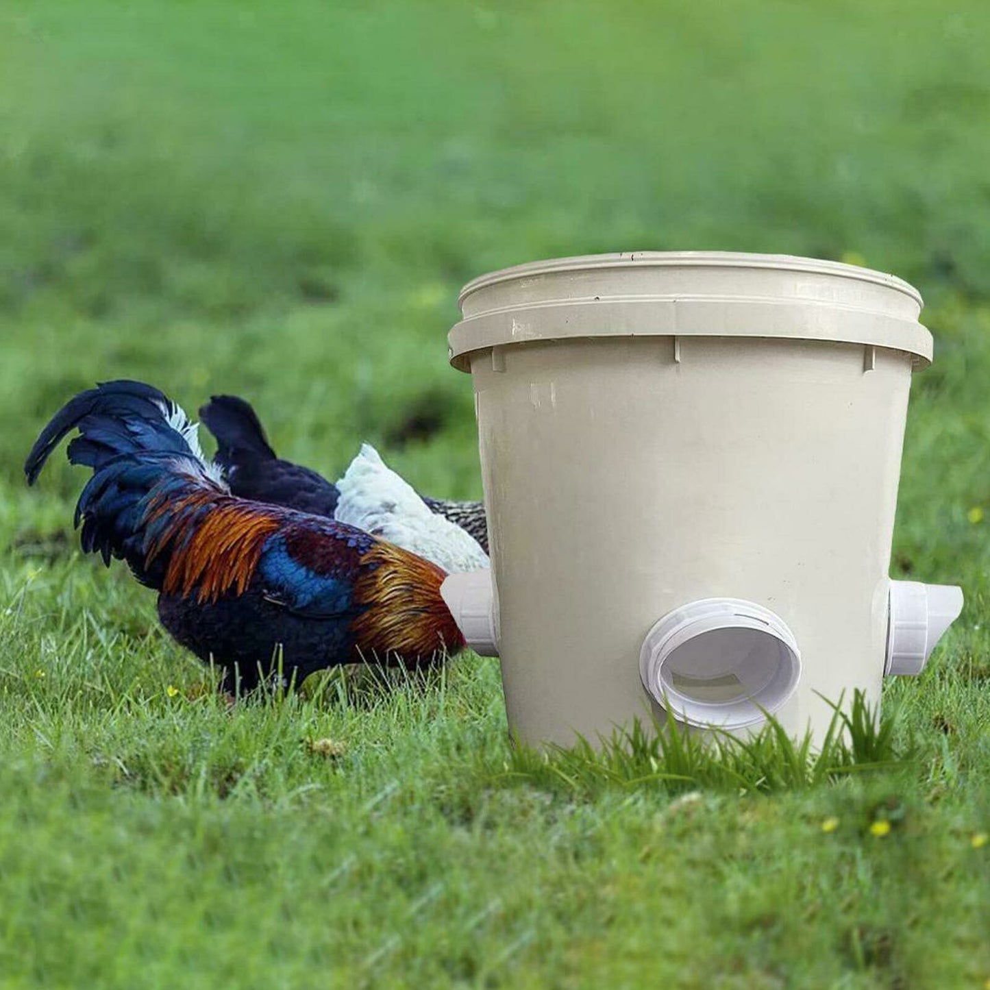 Poultry Gravity-Fed Chicken Feeder PVC DIY Port Suitable For Chickens