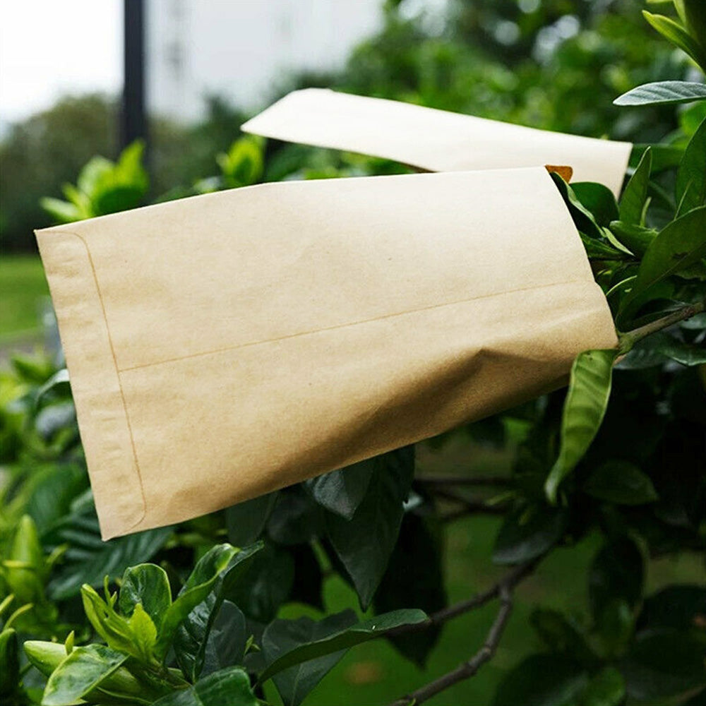 {{ Kraft Paper Seed Packets Garden Home Storage Bags Mini Envelopes 6x11cm }} - Buy Car Parts Online at {{ Kaka Auto Parts }}.