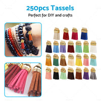 {{ 250PCS Keychain Ring Tassels Bulk Colored Leather Tassel Pendants Jewelry DIY }} - Buy Car Parts Online at {{ Kaka Auto Parts }}.