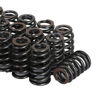 Beehive Valve Spring Kit Suitable For LS Engines Up To 0.625 Inch Lift Rated