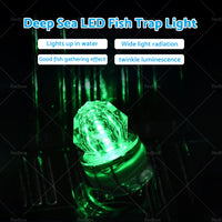 {{ LED Flash Fishing Light Deep Drop Underwater Squid Strobe Bait Lure Lights Lamp }} - Buy Car Parts Online at {{ Kaka Auto Parts }}.