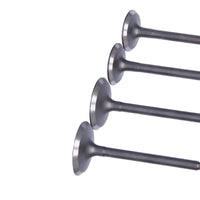 {{ 4Pcs Exhaust Valve Suitable for Toyota Hilux LN107 LN111 LN166 LN106 2.8 1988-97 }} - Buy Car Parts Online at {{ Kaka Auto Parts }}.